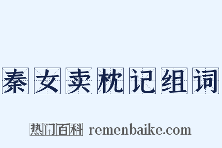 秦女卖枕记组词是什么意思的图片